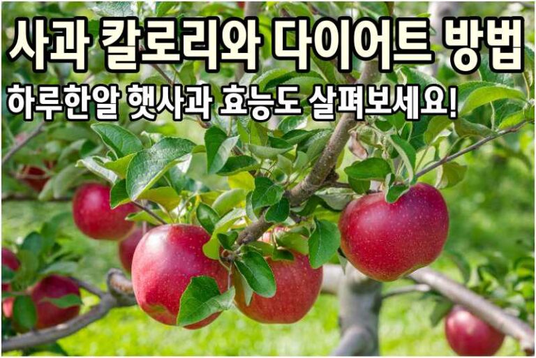 사과 효능