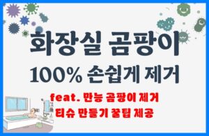 화장실 욕실 곰팡이 제거