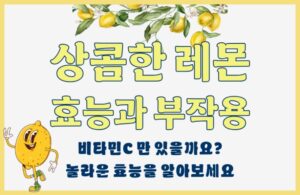 레몬 효능 부작용