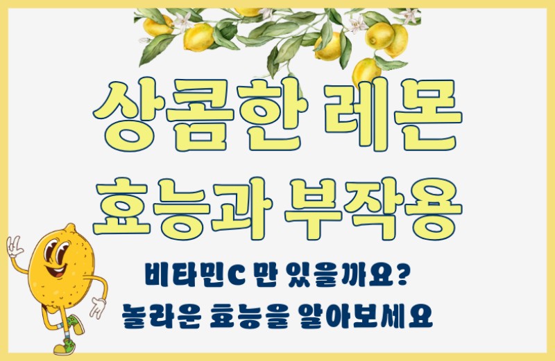 레몬 효능 부작용