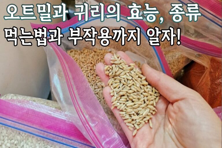 오트밀 효능