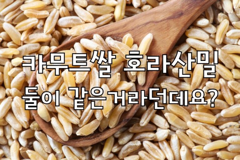 카무트쌀 호라산밀