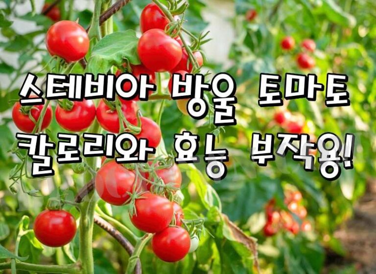 방울토마토