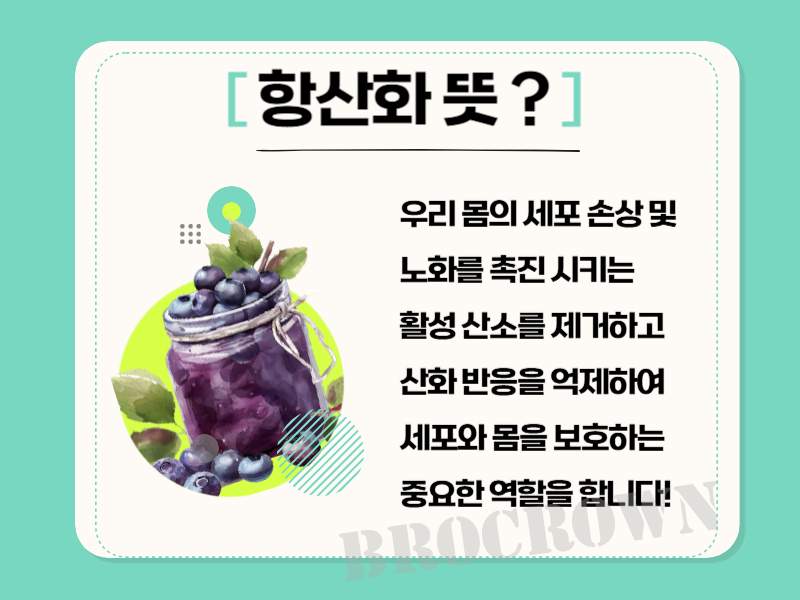 항산화 뜻