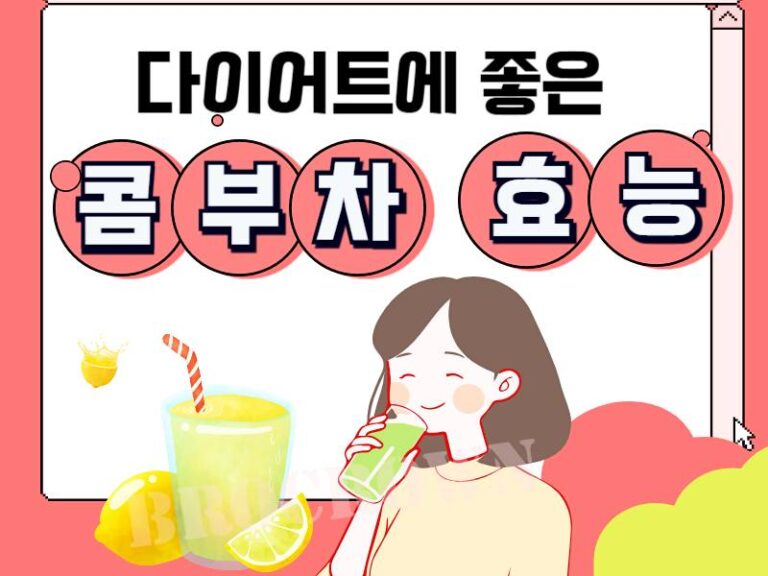 콤부차 효능