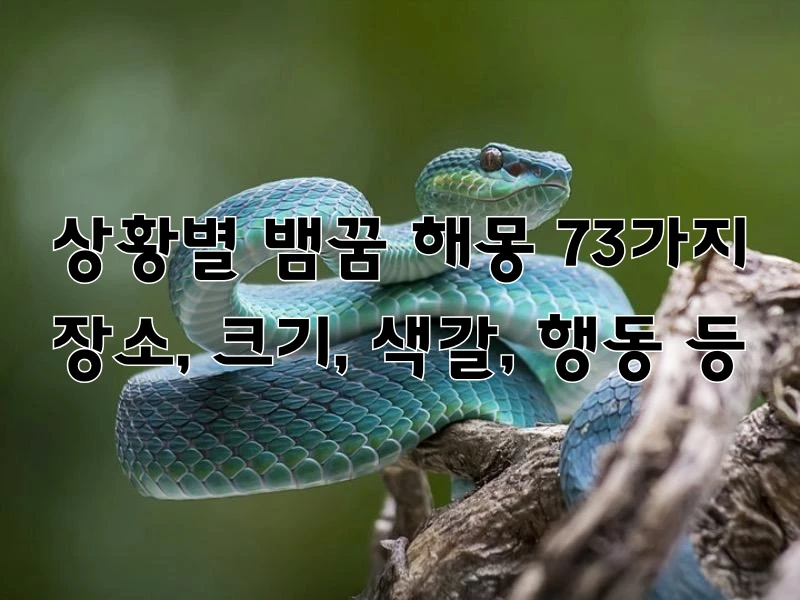 뱀꿈 해몽