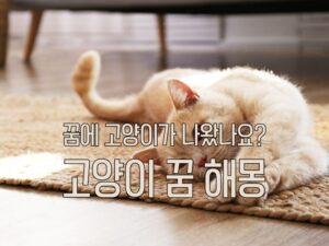 고양이 꿈 해몽