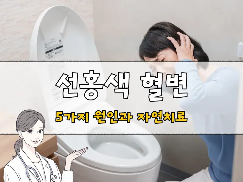 선홍색 혈변 원인, 방치하면 큰일날 수 있어요. 피똥 이유 5가지 - broCrown