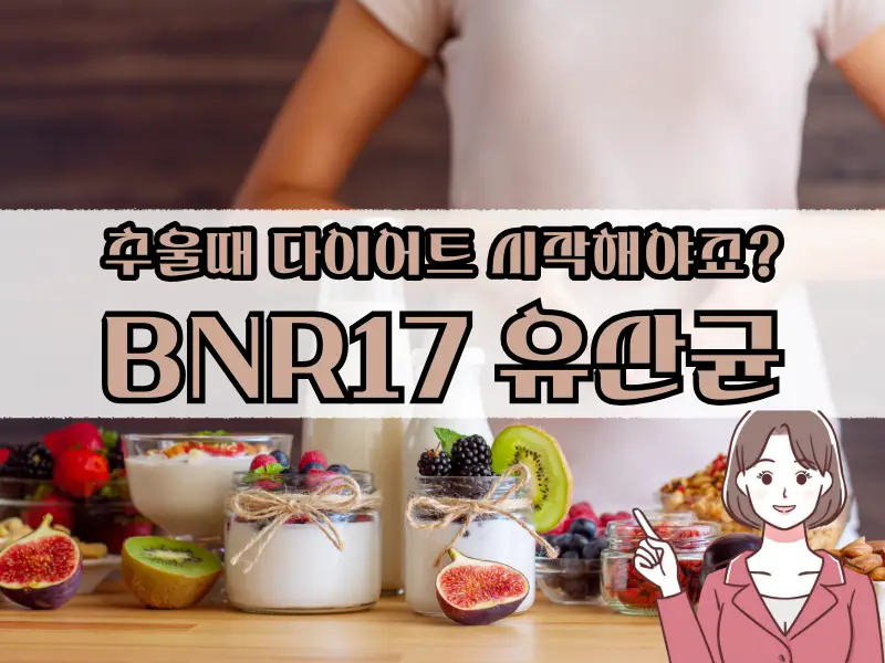 BNR17 유산균