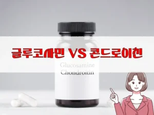 글루코사민 콘드로이친 차이