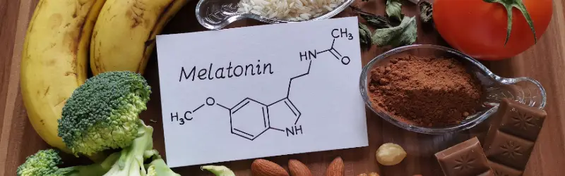 식물성 멜라토닌 효능