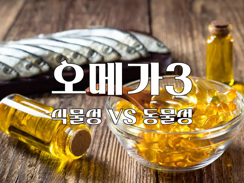 식물성 오메가3 동물성 오메가3