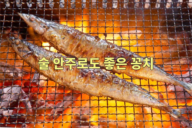 오메가3 음식 꽁치