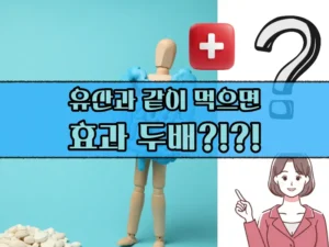 유산균과 같이 먹으면 좋은 영양제