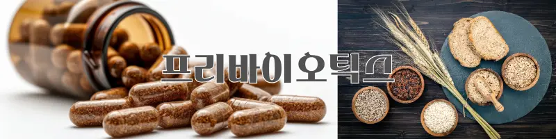 유산균과 프리바이오틱스