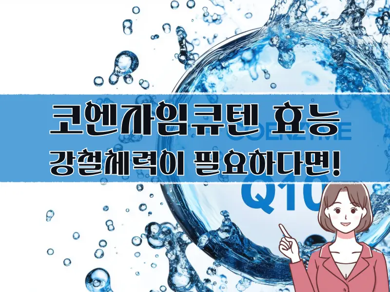 코엔자임큐텐 효능