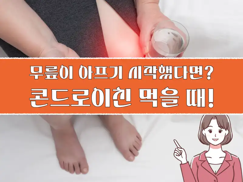 콘드로이친 효능