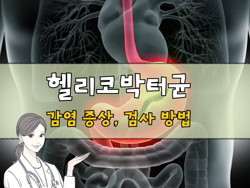 헬리코박터균 감염 증상