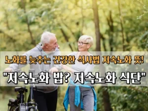 저속노화 식단
